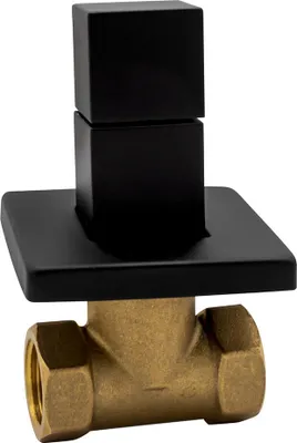 A close-up studio shot of a black and brass plumbing valve.