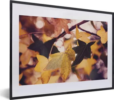 Produktbild von MuchoWow® Gerahmtes Poster Blätter - Ahorn - Herbst - Jahreszeiten 40x30 cm - Poster mit Schwarzem Bilderrahmen Wandposter Rahmen Foto Bilder - Bilderrahmen - Poster im Rahmen