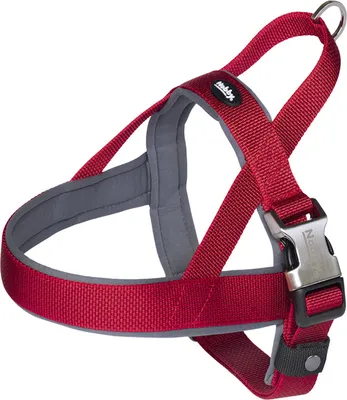 Produktbild von Nobby Norwegergeschirr Classic Preno Royal, rot L: 38-50 cm + 36 cm, B: 20/25 mm, 1 Stück