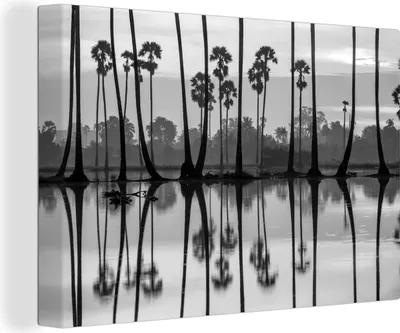 Produktbild von OneMillionCanvasses® - Leinwandbilder - 140x90 cm, Bäume im Wasser - schwarz und weiß, Wandbilder Kunstdruck Wanddekoration