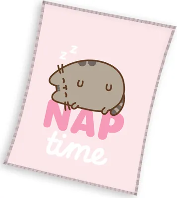 Obrázok produktu pre Detská deka Pusheen Cat Time to Go to Sleep 130x160 cm