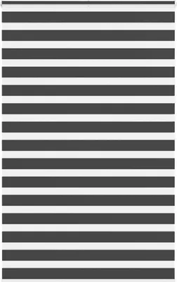 Produktbild von Doppelrollo Schwarz 150x200 cm Stoffbreite 145,9 cm Polyester