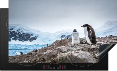 Produktbild von KitchenYeah© Herdabdeckplatte Pinguine stehen auf einem Felsen in der Antarktis , 91x52cm, Küche Deko, Glaskeramikkochfeld Herdabdeckung, Abdeckplatte fùr Kochfeld