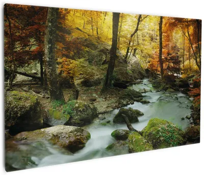 Produktbild von Wallario Premium Leinwandbild Wasserfall mit moosbedeckten Steinen im Herbstwald in Größe 60 x 90 cm