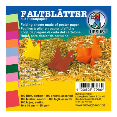Produktbild von Faltblock intensivfarben 65 g 10 x 15 cm
