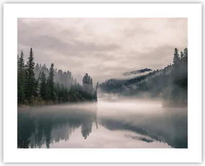 Produktbild von Poster - Poster ohne Rahmen - Reflexion Nebel Landschaft - 50x40 cm - Wand Bild - Wanddeko - Wandbilder - Kunstposter - Wandposter - Bilder - Kunstdruck - Wanddekoration - Wandbild - P2XAA50x40-4482