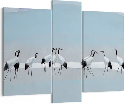 Produktbild von Bild auf Leinwand - Leinwandbild - 3 Teile - Vögel Kraniche Natur - 95x80cm - Wand Bild - Wanddeko - Wandbilder - Leinwanddruck - Bilder - Wanddekoration - Leinwand bilder - Wandbild - CB95x80-4921