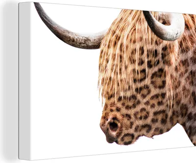 Produktbild von OneMillionCanvasses® - Leinwandbilder - 140x90 cm, Schottisches Hochlandrind - Pantherdruck - Weiß, Wandbilder Wohnzimmer Hochland Rind - Tier Wanddekoration - Hochland Rind - Kuh - Gemälde auf Holzrahmen