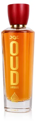 Obrázek produktu pro House of Perfumes Oud Ambari EDP 100 ml UNISEX