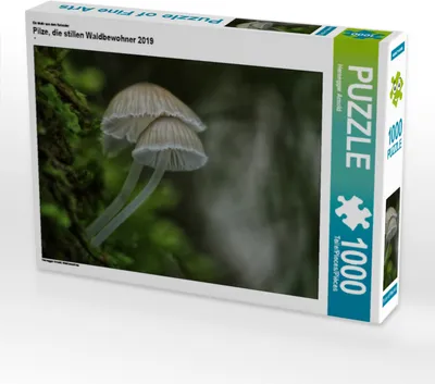 Produktbild von CALVENDO Puzzle Ein Motiv aus dem Kalender Pilze, die stillen Waldbewohner 2019 | 1000 Teile Lege-Größe 64x48cm Foto-Puzzle für glückliche Stunden