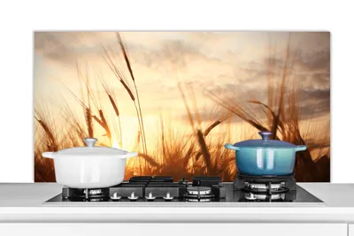 Produktbild von KitchenYeah®  Spritzschutz Küche - Küchenrückwand - Wandschutz für Herd und Spüle - Schilf - Gras - Sonnenuntergang - Natur - Horizont 120x60 - Alu-Dibond (Alternative zum Spritzschutz aus Glas) - Hit