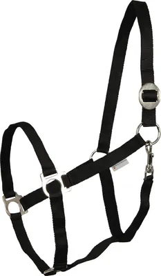 Produktbild von Waldhausen Perlon Halfter Schwarz Pony Schwarz Pony