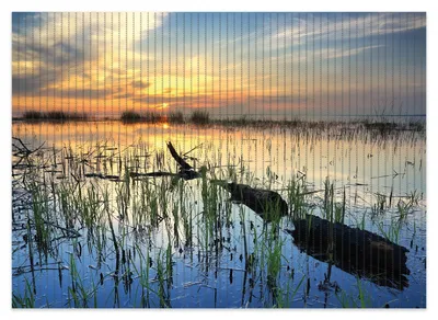 Produktbild von Wallario Duschmatte Antirutschmatte Badmatte Fußmatte Schilf am Abend - Sonnenuntergang über der Seelandschaft, Größe ca. 70 x 50 cm