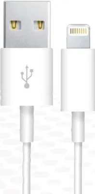 Zdjęcie produktu dla Synergy 21 S21-I-00178, 1,17 m, Lightning, USB A, męski, męski, biały