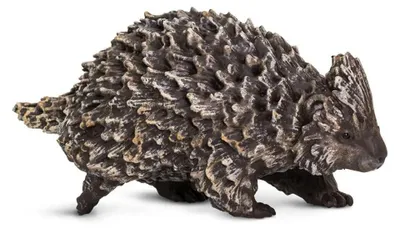 Produktbild von Safari Ltd Stachelschweinfigur Beige,Schwarz From 3 Years Kinder Beige,Schwarz From 3 Years
