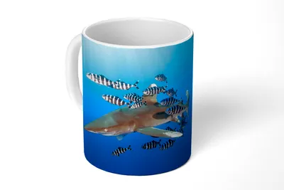 Produktbild von KitchenYeah® Tasse Kaffeetasse Kaffeebecher 350 ml Hai mit Fisch Teetasse - Fototasse - Becher - Keramikbecher - Teebecher - Kaffeetasse - Bürotasse