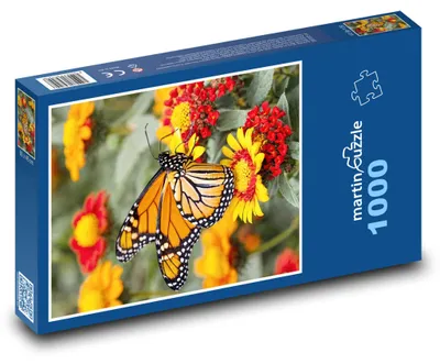 Obrázok produktu pre Puzzle 1000 Motýľ na farebných kvetoch - martinpuzzle