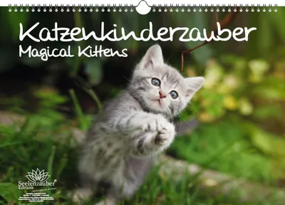 Produktbild von Katzenkinderzauber DIN A3 Immerwährender Kalender Katzenkinder Katzenbabys - Seelenzauber