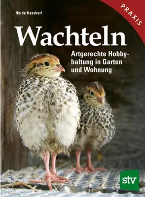 Produktbild von Wachteln