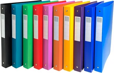 Zdjęcie produktu dla Exacompta 51699E Segregator A4 wielokolorowy