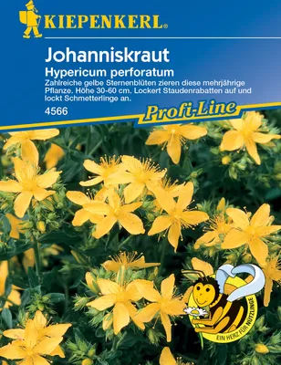 Produktbild von [STREICHUNG 2025] Johanniskraut | Johanniskrautsamen von Kiepenkerl