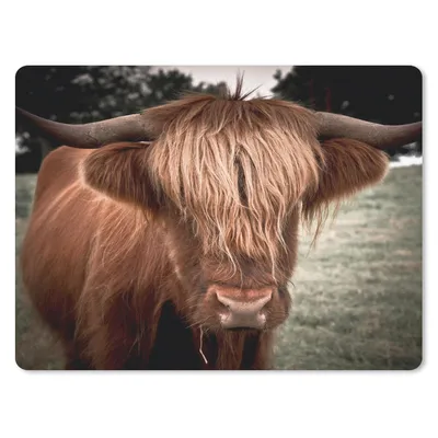 Produktbild von MuchoWow® Mauspad Mousepad Schottischer Highlander - Baum - Gras 40x30 cm - Mousepads - Maus Mat - Pad - Mausunterlage - Anti Rutsch