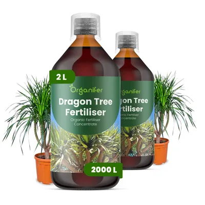 Obrázek produktu pro Dracéna Tekuté Hnojivo 2x1 L – 2-1-8 NPK – Pro Zelené Rostliny – Pro Zdravé Listy & Silný Růst – Podporuje Kořeny & Vitalitu – Organifer