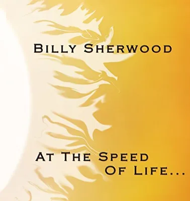 Produktbild von Sherwood,Billy-At The Speed Of Life...