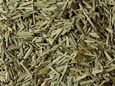 Produktbild von 1 kg Zitronengras