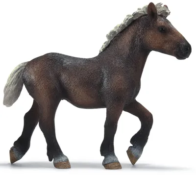 Produktbild von schleich Schwarzwälder Jährling, 3 Jahr(e), Braun, Kunststoff