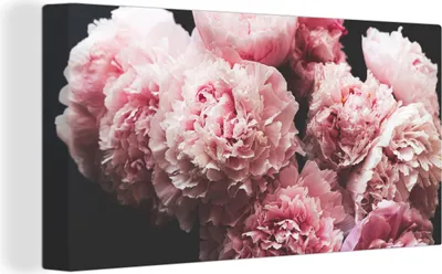 Produktbild von MuchoWow® - Leinwandbilder - Blumenstrauß aus rosa Pfingstrosen, Wandbild, Wanddeko Bilder Wohnzimmer, 80x40 cm