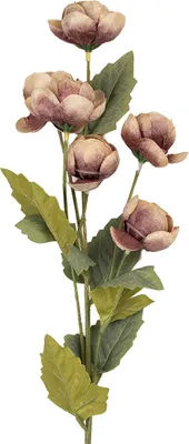 Produktbild von Clayre & Eef Kunstblume 10x10x63 cm Violett Kunststoff