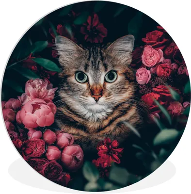 Produktbild von MuchoWow® Rundes Wandbild - Runde Bilder Katze - Blumen - Blätter - Botanisch Ø 90 cm Kreis Wanddekoration Kunststoff - Wandkreis - Wandschmuck - Wand-Kreis - Wohnzimmer - Bild - Runde - Wanddeko - Dibond - Kunstdrucke