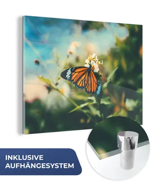 Obrázok produktu pre MuchoWow® Sklenené obrazy - Obrazy na stenu - Foto na skle Motýľ - Kvety - Záhrada 80x60cm Nástenná dekorácia zo skla - akrylový sklenený obraz - akrylové