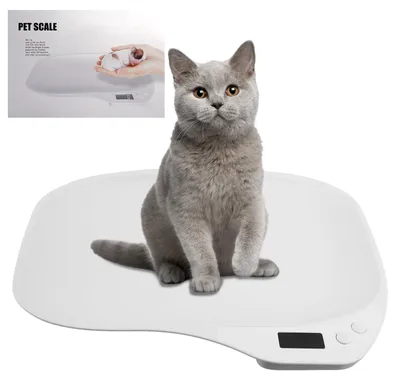 Productafbeelding van Digitale Huisdierenweegschaal tot 15 kg met LCD-display