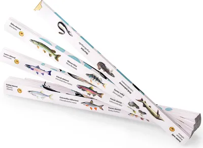 Obrázek produktu pro Metrie, skládací rybářský metr Block-52, Petrův zdar, 2 m