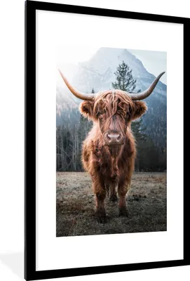 Produktbild von MuchoWow® MuchoWow® Gerahmtes Poster Schottische Hochlandrind - Natur - Berge 60x90 cm - Poster mit zchwarzem Bilderrahmen - Dekoration - Wandposter Wohnzimmer - Hochwertig