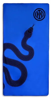 Produktbild von Biscione Premium Mikrofaser Strandtuch, 180 x 90 cm, saugfähiges Handtuch für Strand, Meer, Pool und Sommerurlaub