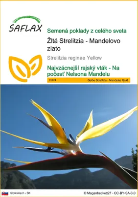 Obrázok produktu pre SAFLAX - Žltá Strelitzia - Mandelovo zlato - Strelitzia reginae Yellow - 4 Semená