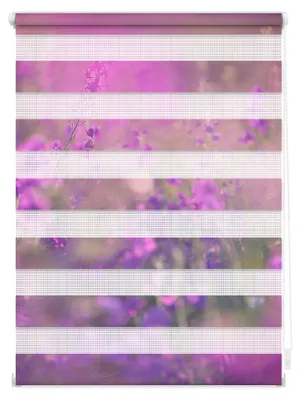 Produktbild von Lichtblick Doppelrollo blickdicht ohne Bohren 60 cm x 150 cm (B x L)
