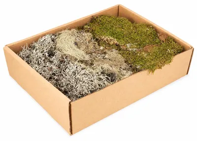 Produktbild von Deko Moos Mix 650 g Naturmoos Bastelmoos Floristik Modellbau getrocknet