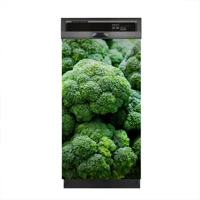 Produktbild von Aufkleber sticker 45x80 cm Dekorative folie Spülmaschine - Frischer Brokkoli Gemüse