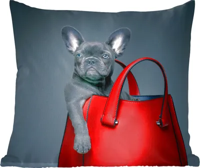 Produktbild von MuchoWow® Zierkissen Sofakissen Wohnzimmer Dekokissen 45x45 cm Hund - Lustig - Tasche - Kinder - Jungen - Mädchen - Kinder - Schlafpolster - Polster für das Sofa