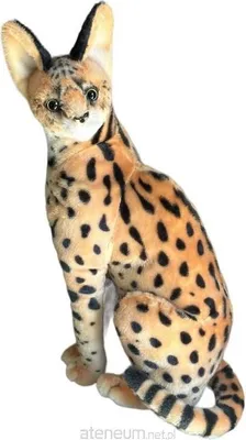 Immagine prodotto di Serval 49cm