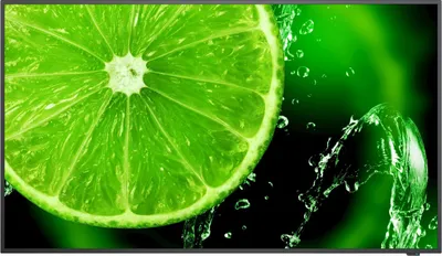 Produktbild von NEC Display E series MultiSync E558 - 138,7 cm (54.6 Zoll) - LCD - 3840 x 2160 Pixel - 350 cd/m² - 4K Ultra HD - Direct-LED