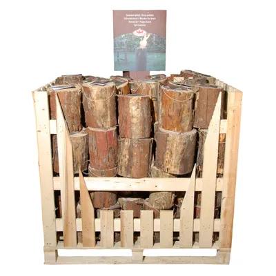Produktbild von Esschert Design Schwedenfeuer 25cm ø15-25cm; FF104