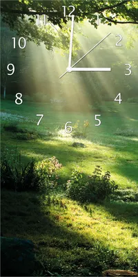 Produktbild von Wallario Design Wanduhr Sonnenstrahlen im Wald aus Echtglas, Größe 30 x 60 cm