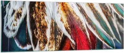 Produktbild von Bilder auf glas - Federn Federn Vogel - 140x50cm - Glasbilder - Wandbilder - Kunstdruck - zum Aufhängen bereit - Wanddekoration aus Glas - Glas Bilder - Wandbild auf Glas - Einteilig - GAB140x50-3743