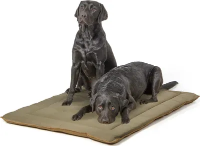 Produktbild von gepolsterte Wendedecke 110 x 80 cm, braun oliv bei 95°C waschbar für Hunde