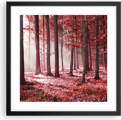 Produktbild von Gerahmtes Poster - Schwarzer Rahmen - Wald Rot Bäume - 40x40 cm - Wand Bild - Wanddeko - Wandbilder - Kunstposter - Wandposter - Bilderrahmen - Bilder - Kunstdruck - Wanddekoration - P2BAC40x40-4944